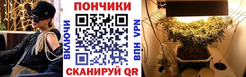 МАРИХУАНА конопля  МЕГА как зайти  Шлиссельбург 